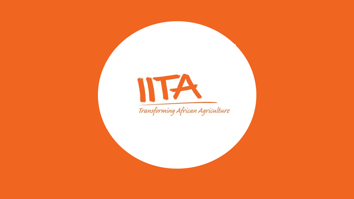 New Job Vacancies at IITA Tanzania October 2023 , iita recruitment, iita driver job vacancy, latest jobs at the international institute of tropical agriculture (iita), iita jobs tanzania, iita internship