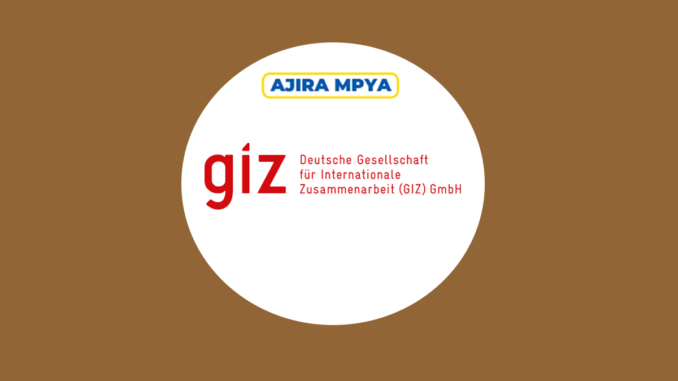 GIZ Job Vacancy July 2024, GIZ Driver jobs, GIZ Jobs 2024, GIZ Job Portal login, GIZ internships, GIZ Tanzania